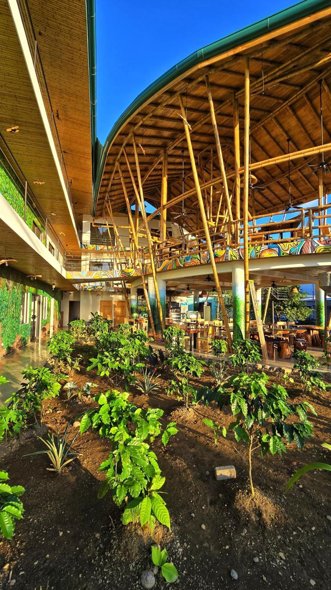 Bonding Coffee Roaster Cafe & Hotel Quepos Kültér fotó
